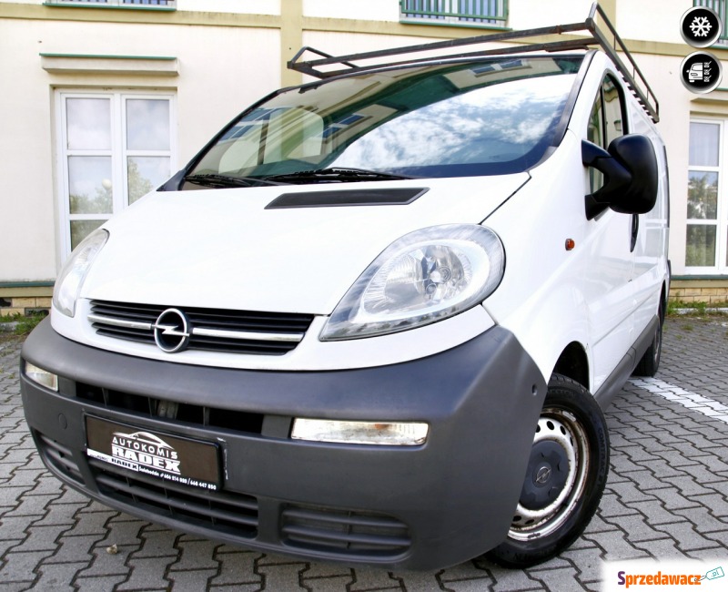 Opel Vivaro 2005,  1.9 diesel - Na sprzedaż za 19 900 zł - Świebodzin