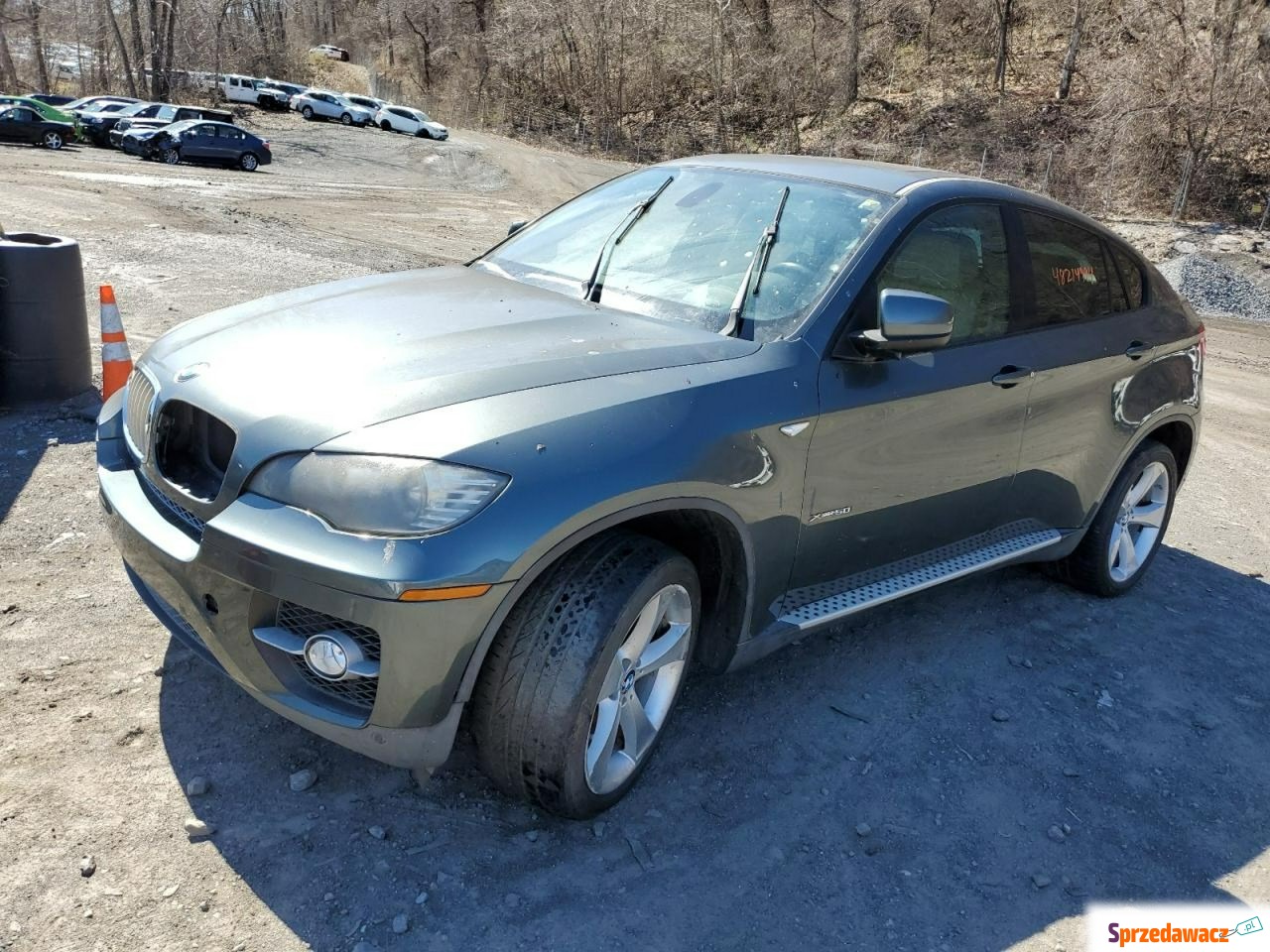 BMW X6 2010