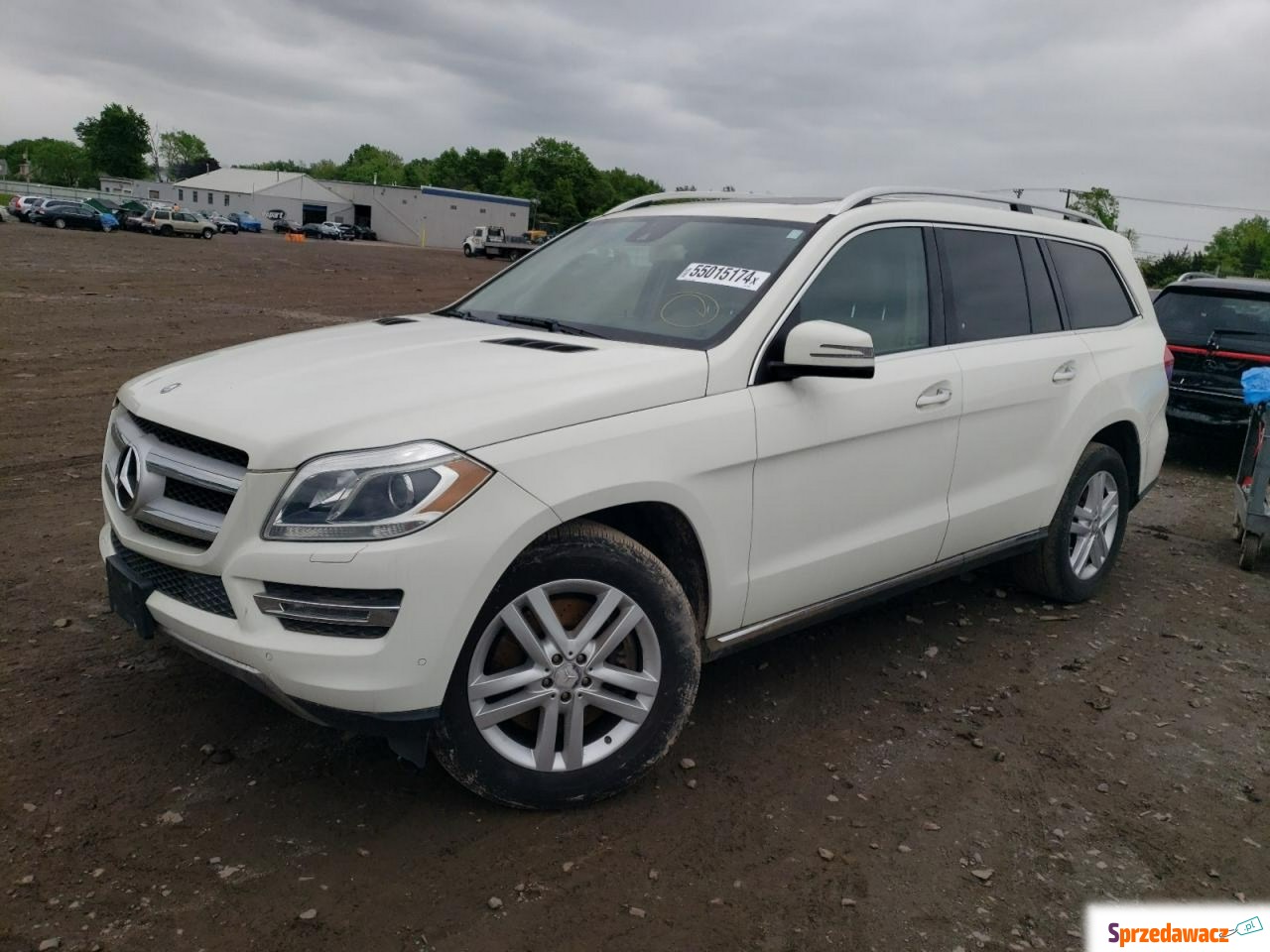Mercedes - Benz GL-klasa 2013
