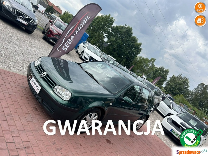 Volkswagen Golf  Hatchback 1999,  1.6 benzyna - Na sprzedaż za 4 600,00 zł - Międzyborów