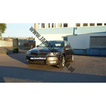 Skoda Octavia  Hatchback 2013,  2.0 diesel - Na sprzedaż za 49 250 zł - Skoczów - zdjęcie 10