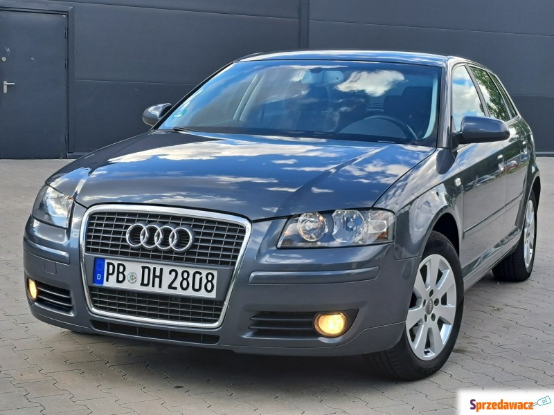 Audi A3  Hatchback 2006,  1.6 benzyna - Na sprzedaż za 21 900 zł - Olsztyn