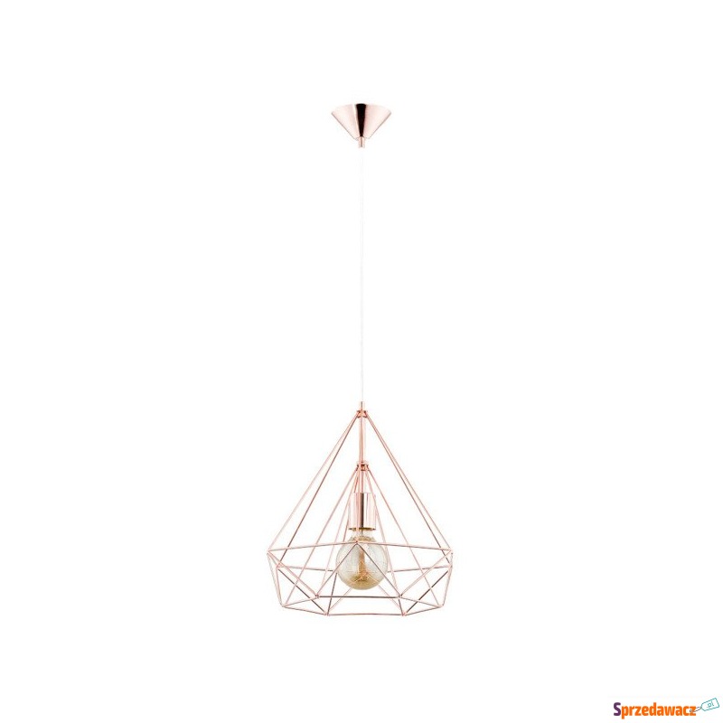 Alfa Basket 6036130 lampa wisząca zwis 1x60W E27... - Lampy wiszące, żyrandole - Zielona Góra