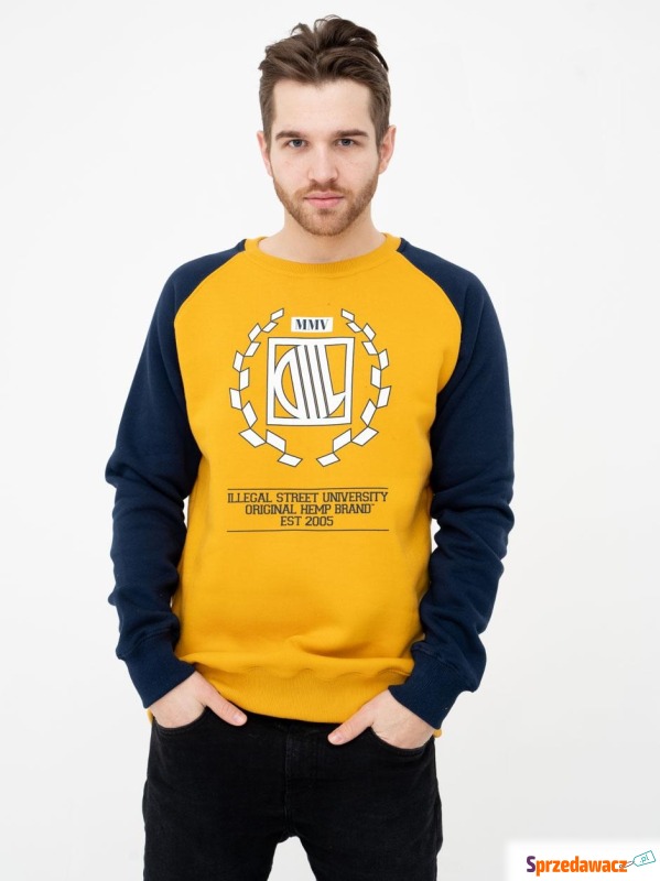 Bluza Bez Kaptura DIIL Laur Reglan Pomarańczowa - Bluzy męskie - Szczecin