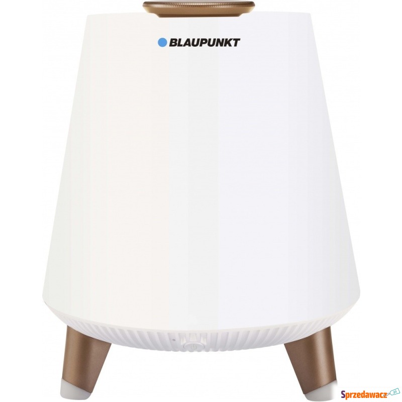 Blaupunkt BT25LAMP - Głośniki - Głogów