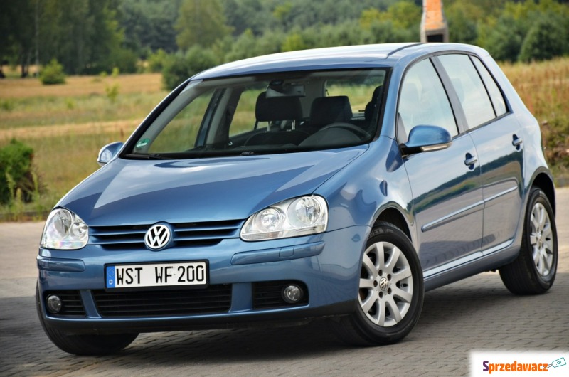 Volkswagen Golf  Hatchback 2005,  1.6 benzyna - Na sprzedaż za 16 900 zł - Ostrów Mazowiecka
