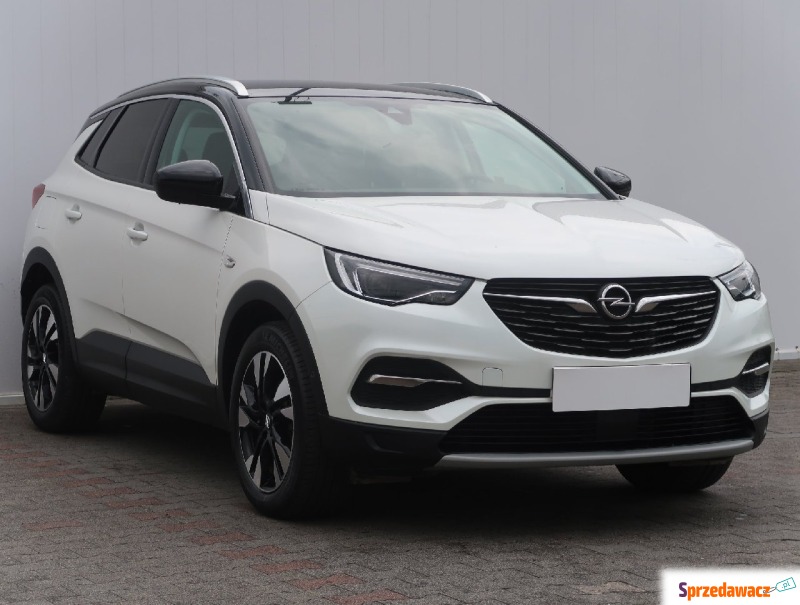 Opel   SUV 2019,  1.5 diesel - Na sprzedaż za 79 999 zł - Bielany Wrocławskie
