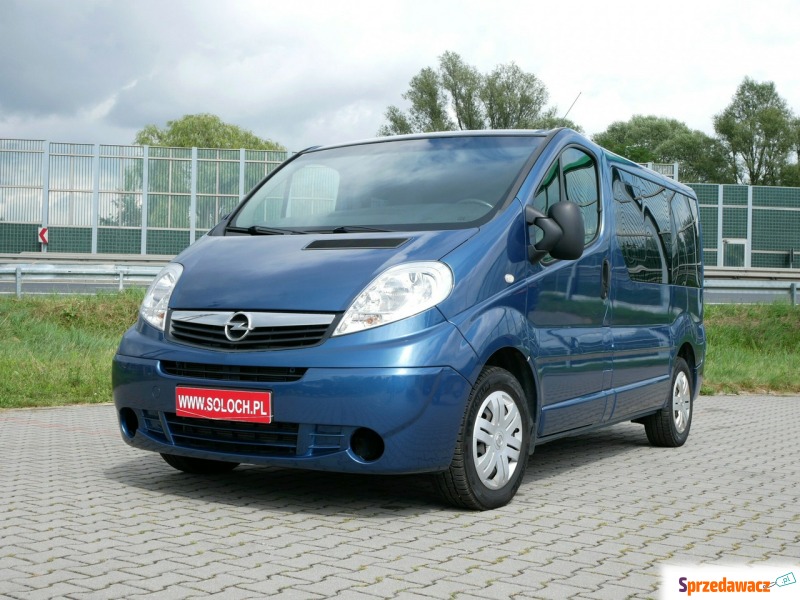 Opel Vivaro  Bus 2005,  2.5 diesel - Na sprzedaż za 36 900 zł - Goczałkowice-Zdrój
