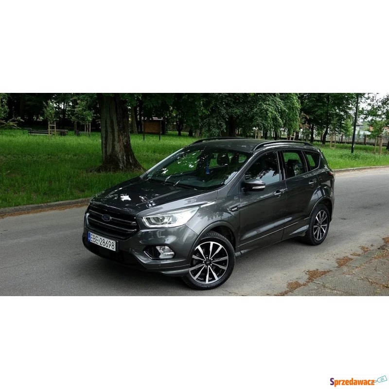 Ford Kuga  SUV 2019,  1.5 benzyna - Na sprzedaż za 86 990 zł - Buczek