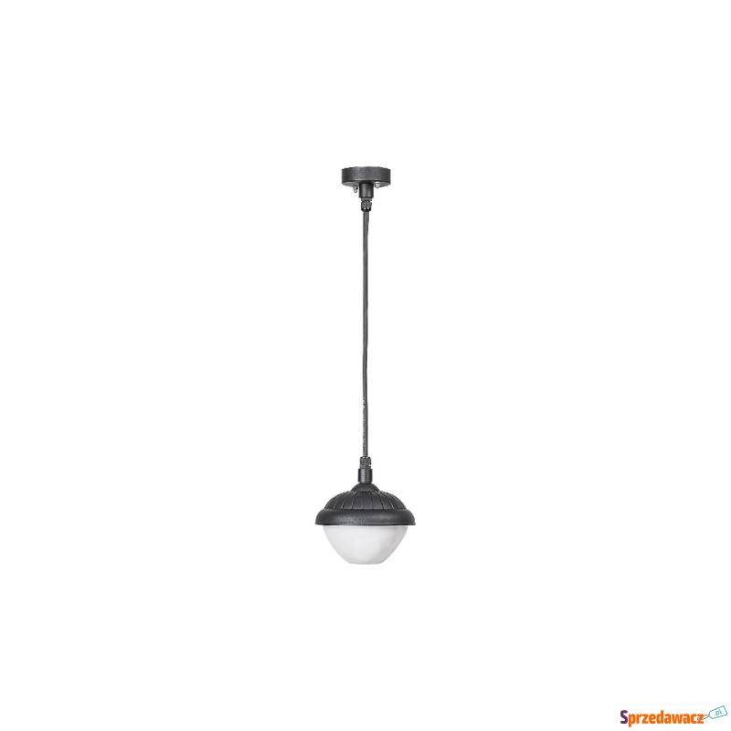 Rabalux Modesto 7674 lampa wisząca ogrodowa z... - Lampy - Jelenia Góra