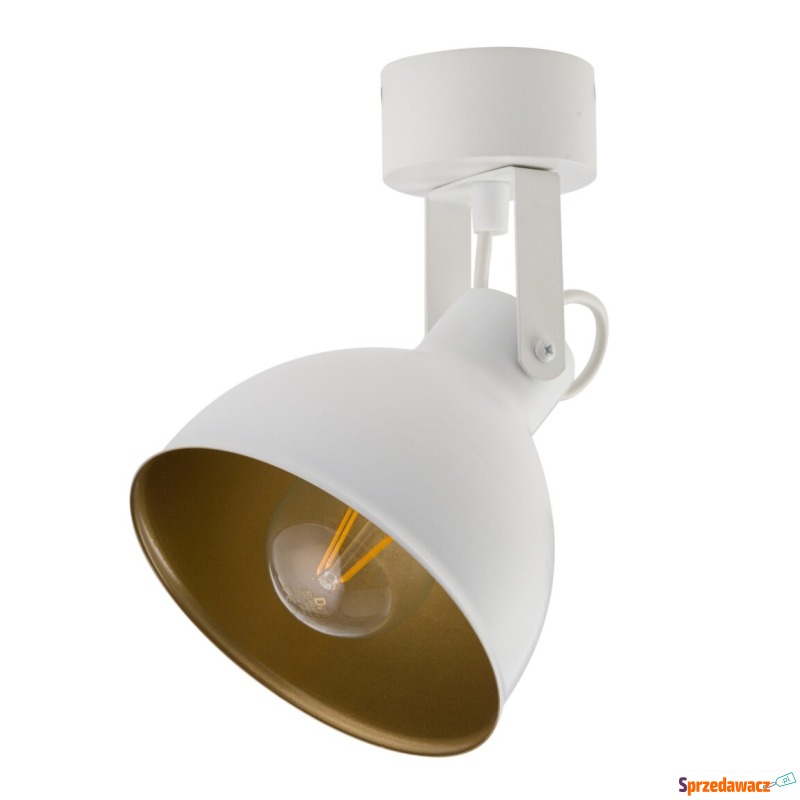 Sigma Mars 32267 plafon lampa sufitowa 1x60W E27... - Plafony - Bytom