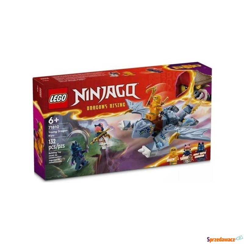 Klocki konstrukcyjne LEGO Ninjago 71810 Smoczątko... - Klocki - Włocławek