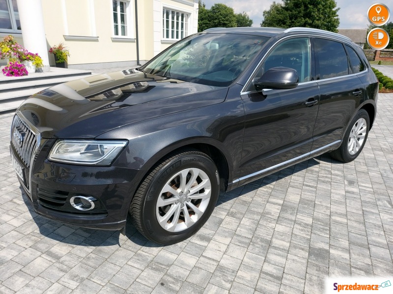 Audi Q5 - xenon led navi chromy lift - Samochody osobowe - Drelów