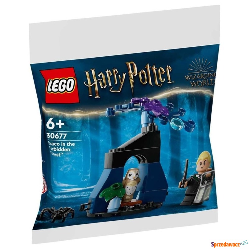Klocki konstrukcyjne LEGO Harry Potter 30677 Draco... - Klocki - Stalowa Wola