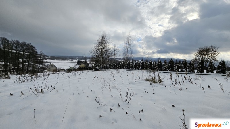 Działka budowlana - Działki na sprzedaż - Tuchów