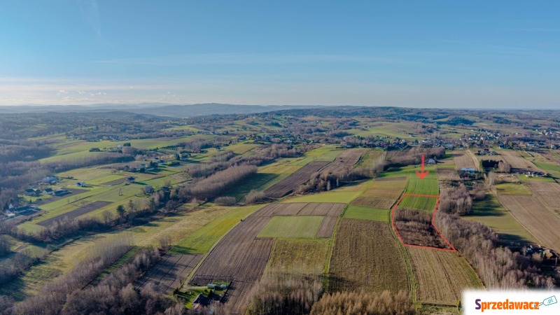 Działka rolna na sprzedaż, 9100m², Zalasowa - Działki na sprzedaż - Zalasowa