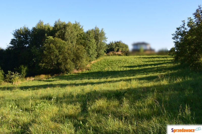 Działka budowlana Tyczyn sprzedam, pow. 1000 m2  (10a)