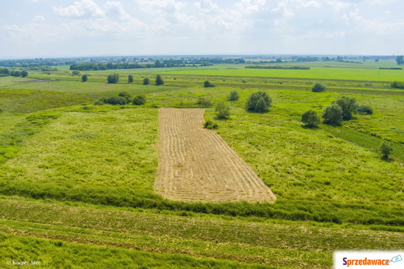 Działka rolna Szczurowa sprzedam, pow. 2400 m2  (24a)