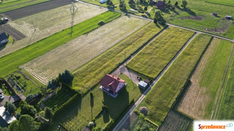 Działka bud. 30 ar Zagórze gm. Gródek nad Dunajcem - Działki na sprzedaż - Rożnów