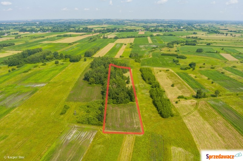 Sprzedam działkę rolną. - Działki na sprzedaż - Zaborów