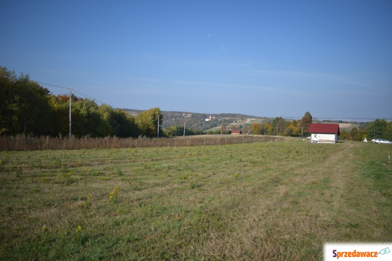 Działka budowlana Dylągowa sprzedam, pow. 2030 m2  (20.3a)