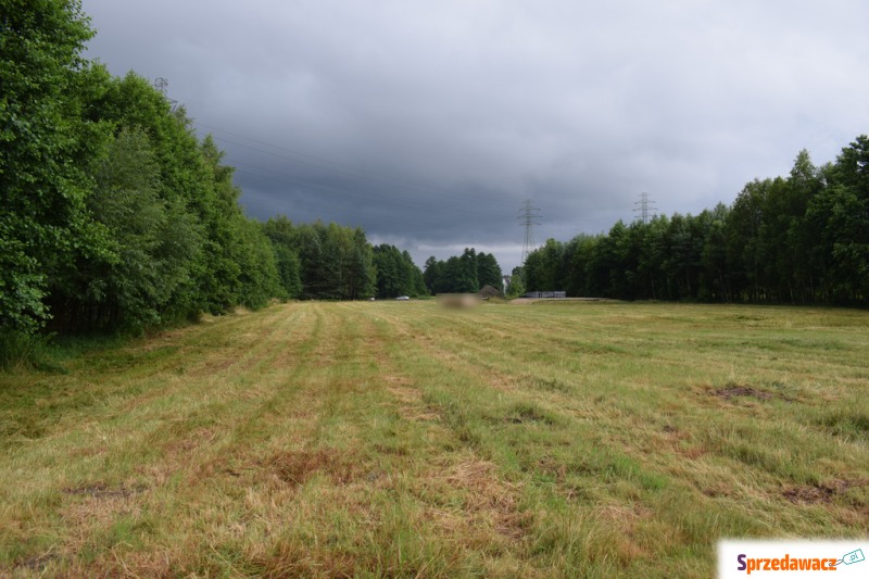 Działka budowlana 39a w Budach Głogowskich - Działki na sprzedaż - Budy Głogowskie