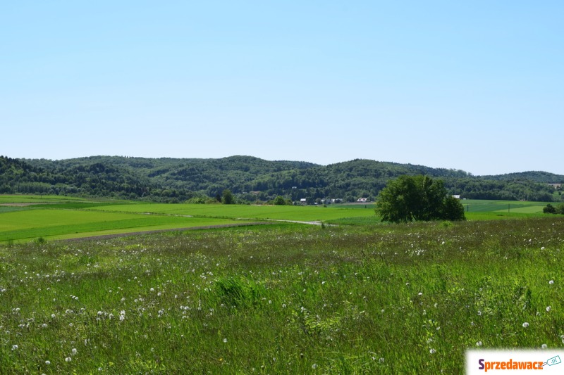 Działka Brzeziny sprzedam, pow. 8600 m2  (0.86ha)