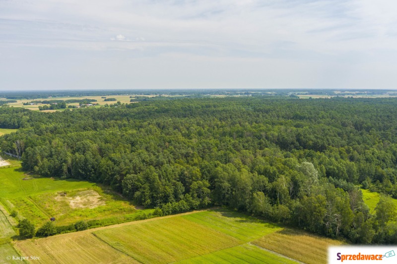 Działka rolna Borki sprzedam, pow. 6300 m2  (0.63ha)