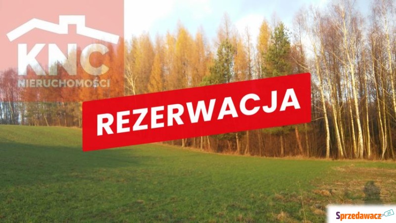 Działka leśna Łękawica sprzedam, pow. 7700 m2  (0.77ha)