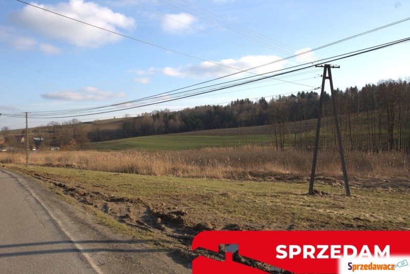 Działka budowlana Jastrzębia sprzedam, pow. 16 600 m2  (1.66ha)