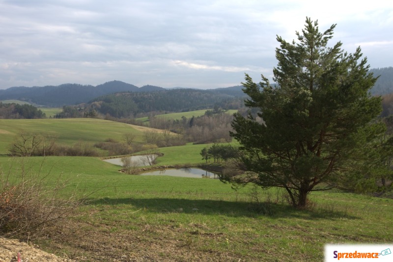 Bieszczady -Działki w super cenie i lokalizacji - Działki na sprzedaż - Kiełczawa