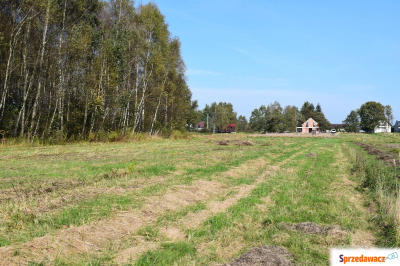 Działka budowlana Bratkowice sprzedam, pow. 766 m2  (7.7a)