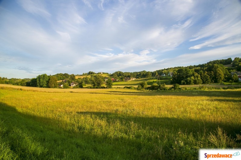 Działka budowlana Siemiechów sprzedam, pow. 9000 m2  (0.9ha)