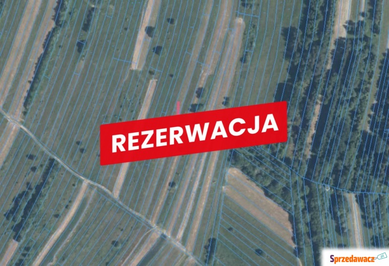 Działka rekreacyjna Trybsz sprzedam, pow. 1377 m2  (13.8a)