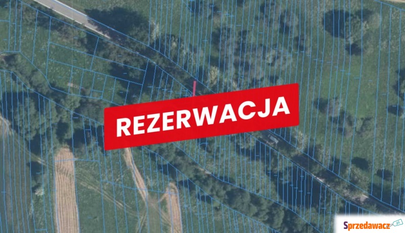 Działka rolna - Działki na sprzedaż - Trybsz