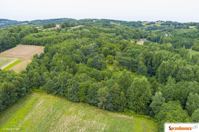 Działka rolna - Działki na sprzedaż - Buchcice