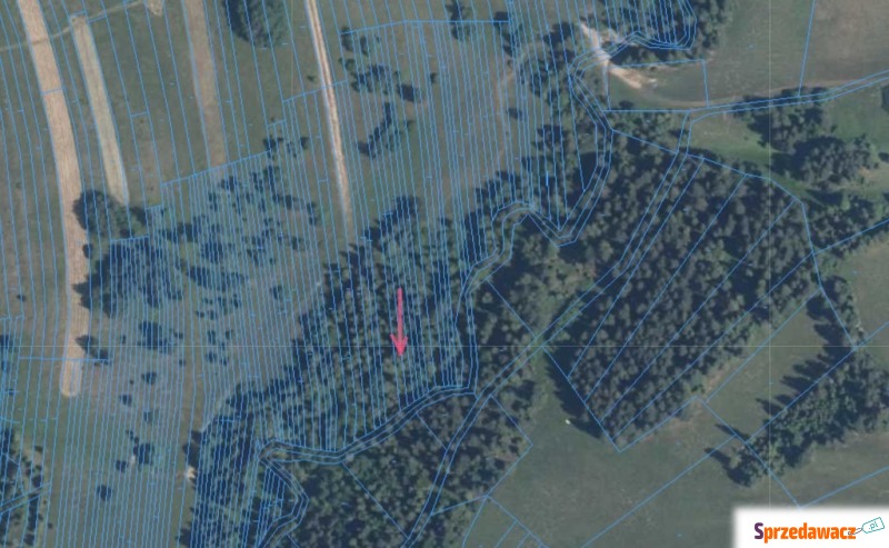 Działka rekreacyjna Trybsz sprzedam, pow. 783 m2  (7.8a)