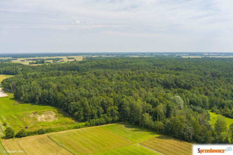 Działka rolna Smyków sprzedam, pow. 5500 m2  (55a)