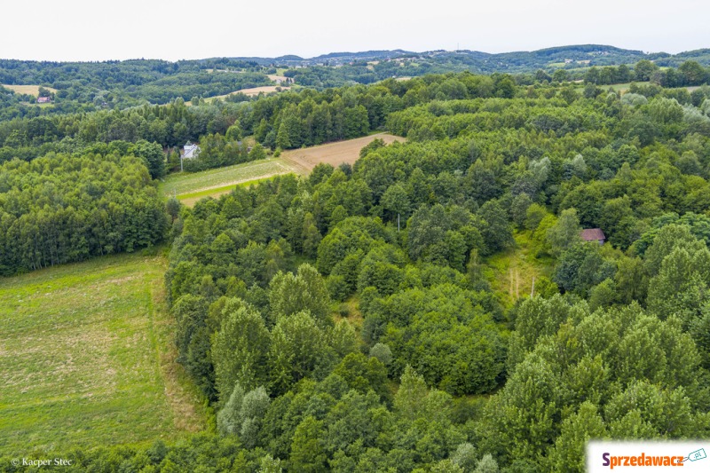 Działka rolna - Działki na sprzedaż - Buchcice