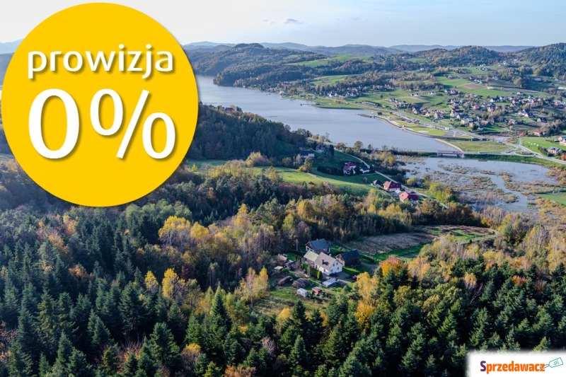 Działka siedlisko Bartkowa-Posadowa sprzedam, pow. 5400 m2  (54a)