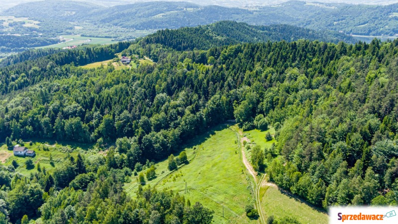 piękna działka w otoczeniu lasu gm. Gródek - Działki na sprzedaż - Tropie