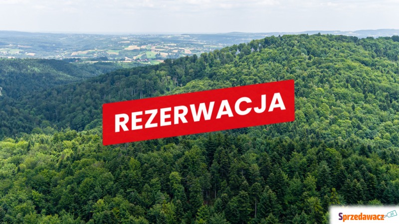 Działka leśna Jodłówka Tuchowska sprzedam, pow. 5800 m2  (58a)