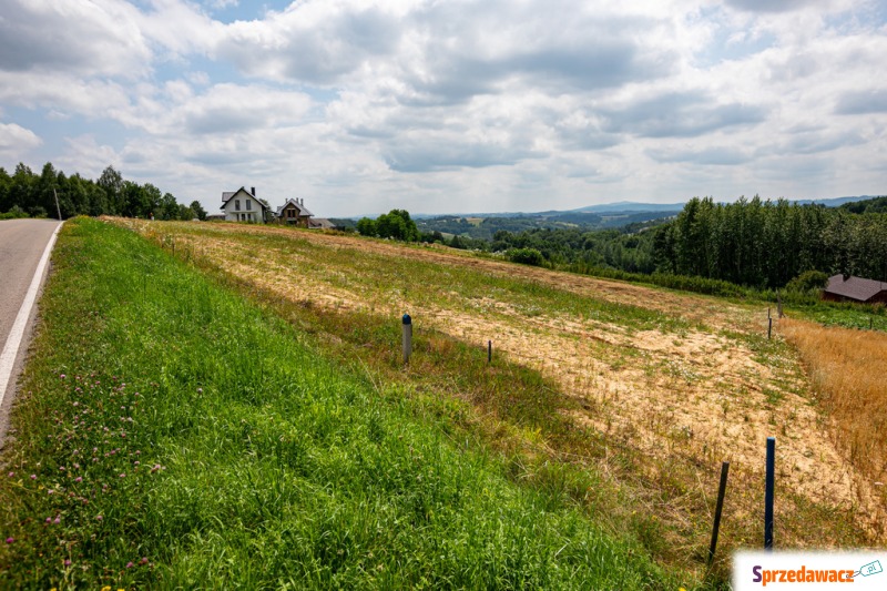 Działka budowlana Wola Lubecka sprzedam, pow. 3000 m2  (30a)