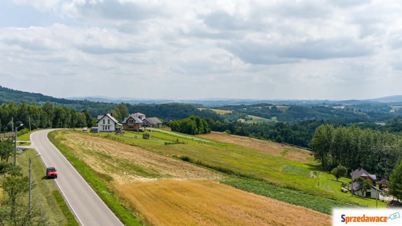 Działka budowlana Wola Lubecka sprzedam, pow. 3000 m2  (30a)