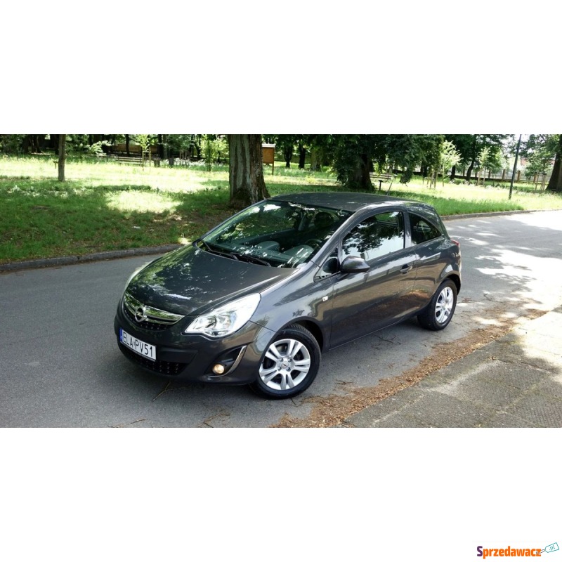 Opel Corsa  Hatchback 2013,  1.3 benzyna - Na sprzedaż za 18 999 zł - Buczek