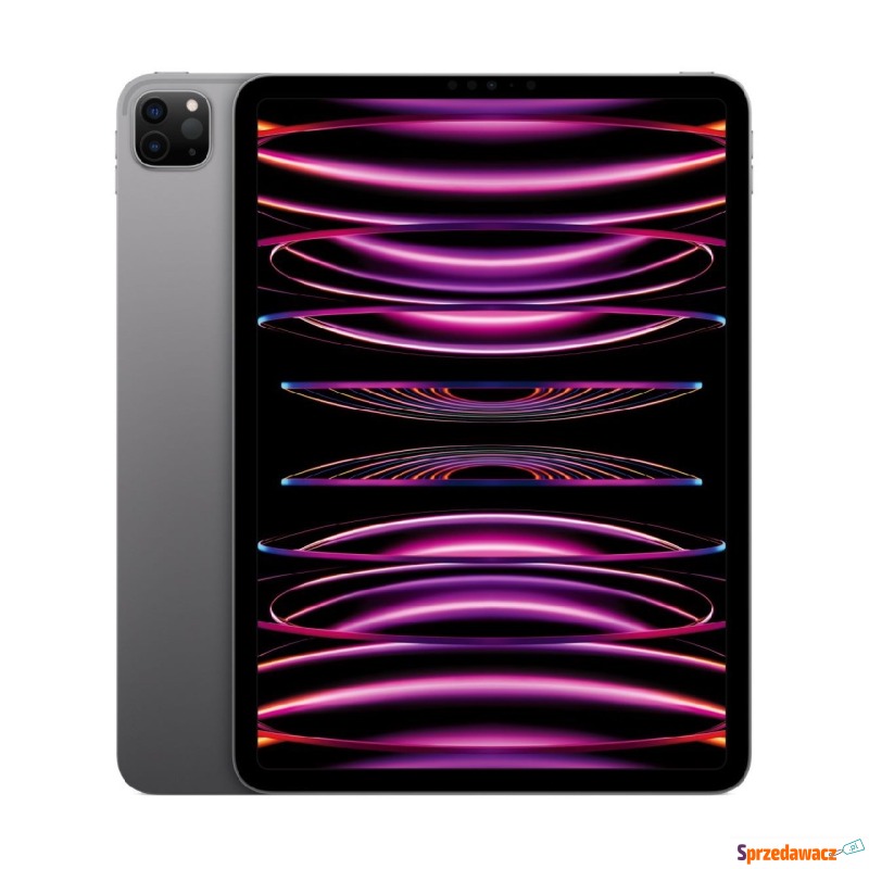 Apple iPad Pro 11” M2 Wi-Fi 128GB Gwiezdna sz... - Tablety - Świdnica