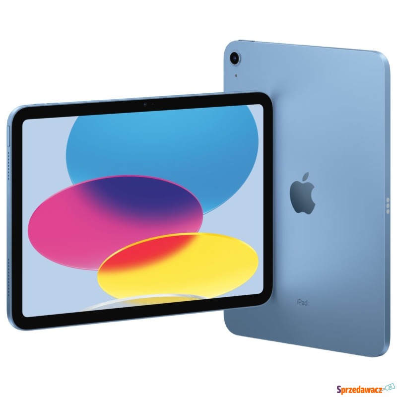 Apple iPad 10.9'' A14 Wi-Fi 256GB Niebieski (10.gen) - Tablety - Grudziądz