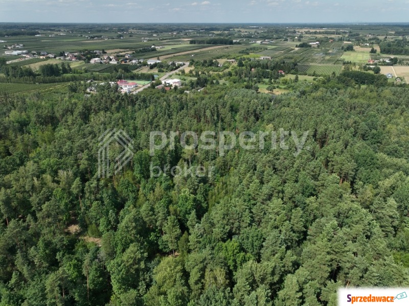 Działka leśna Tarczyn sprzedam, pow. 3000 m2  (30a)