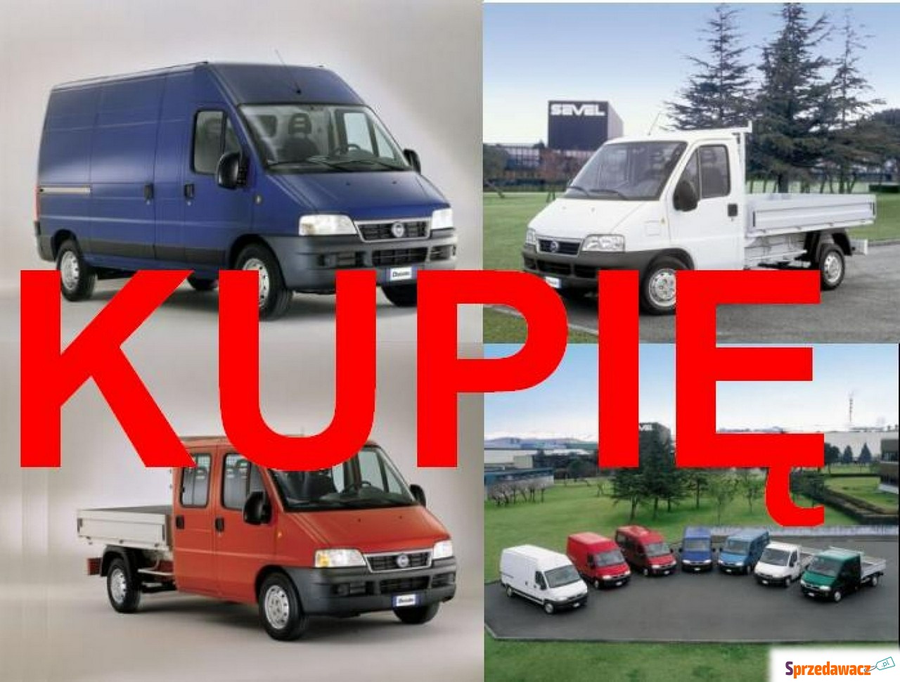 Fiat Ducato 2021
