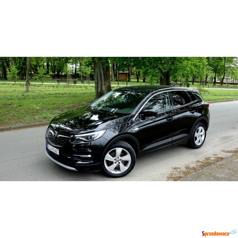 Opel Grandland X  SUV 2018,  1.2 benzyna - Na sprzedaż za 69 990 zł - Buczek